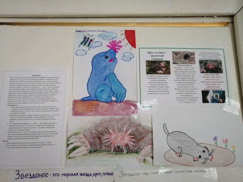 Файл:Zagadochnye zhivotnye2.jpg